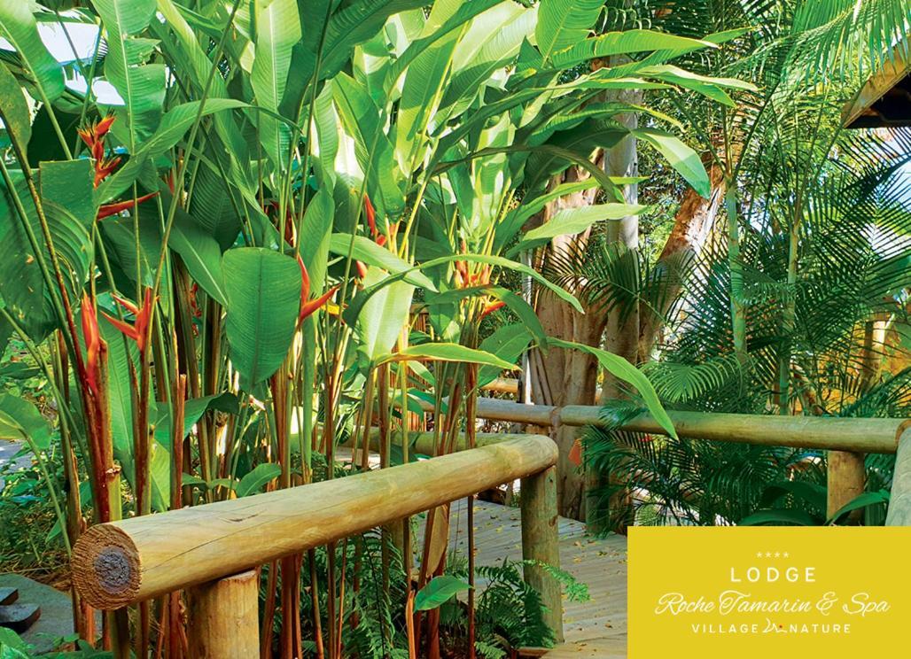 Lodge Roche Tamarin ラ・ポッスシオン エクステリア 写真